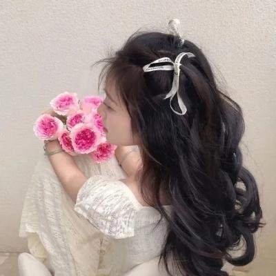 丹特丽安的书架 海报